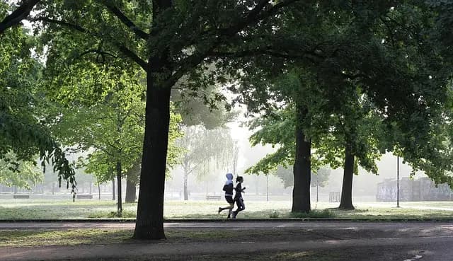 10 habitudes à adopter pour une transformation fitness réussie
