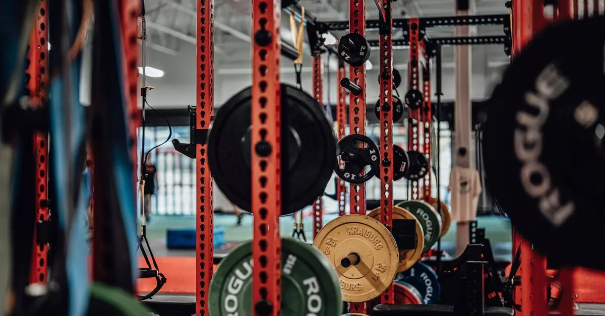 Les meilleurs exercices de renforcement musculaire à intégrer à votre routine