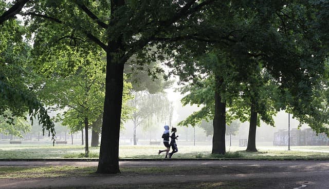 Les bienfaits du fitness sur la santé : Guide complet