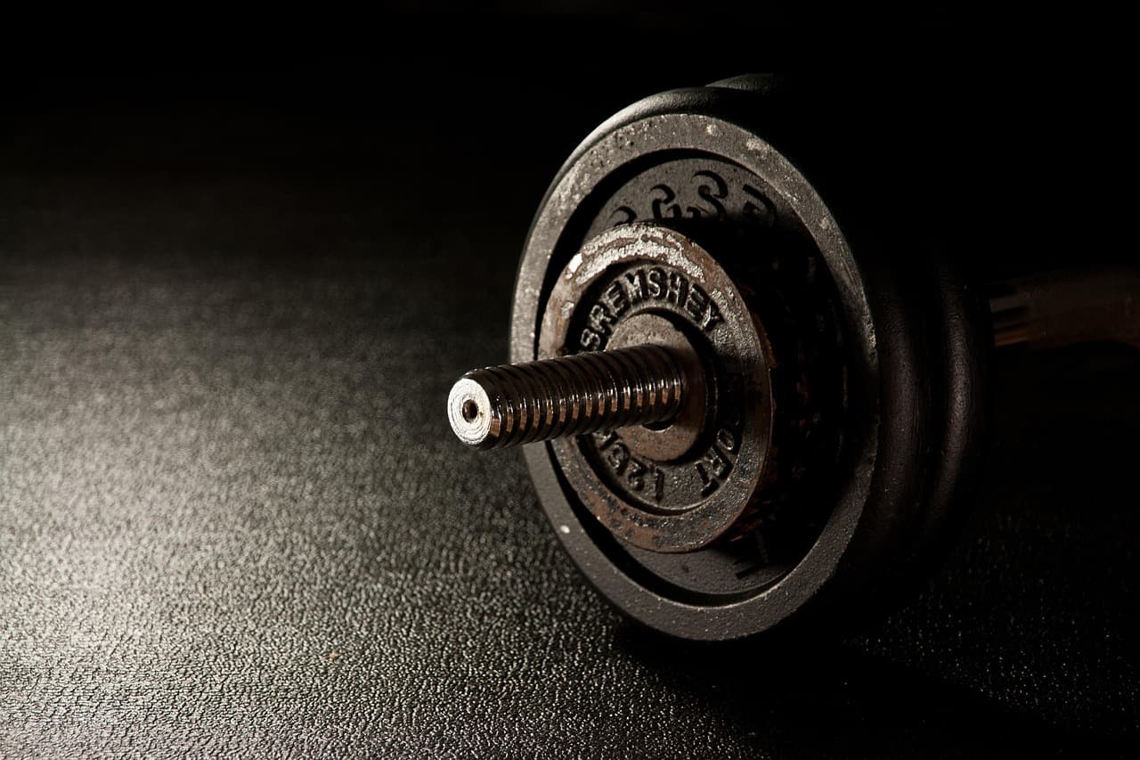 Les meilleurs exercices de musculation pour débutants